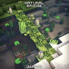 an aerial view of a garden with trees and bushes in the background, text reads natural bridge