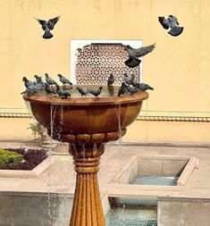 a fountain with birds sitting on top of it