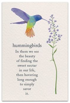 a hummingbird flying next to a purple flower with a poem written on the side