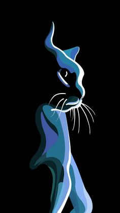 a blue and white cat on a black background