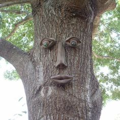 a tree with a face made out of it's trunk and eyes painted on the bark