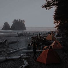 there are many tents set up on the beach by the water and trees in the background