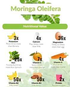 an info sheet showing the different types of vegetables