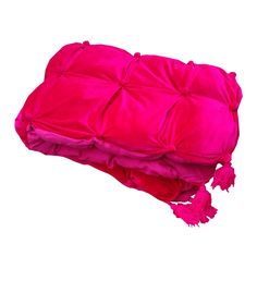 a bright pink pillow with tassels on it's sides and a white background