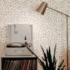 a record player sitting on top of a table next to a plant and wallpaper