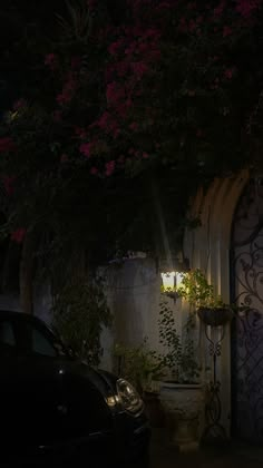 a car parked in front of a house at night with the lights on and flowers growing all around