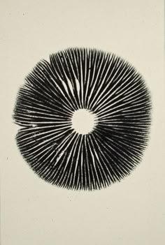 black and white photograph of an object in the shape of a sunburst on a white background