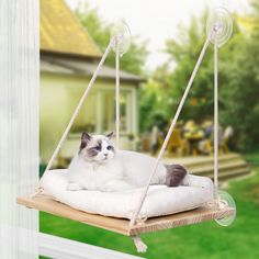 a cat is sitting on a swing outside