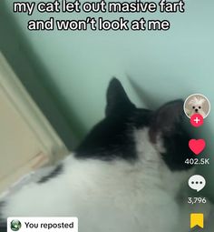 a black and white cat looking up at the wall with caption that reads, i love you reposted