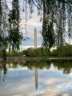 the washington monument is reflected in the still waters of the tidal river, with trees hanging over it