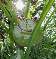 a green frog statue sitting in the grass