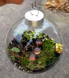 an ornament filled with plants sitting on top of a cement ground next to a hand