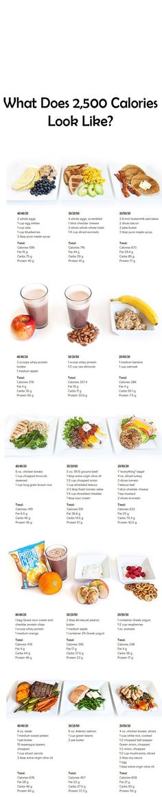 What Does 2,500 Calories Look Like? - Use this handy visual guide to see a day's worth of meals (breakfast, snack, lunch, snack and dinner) across 3 different macronutrient ratios! 150 Calorie Snacks, Fedtforbrændende Mad, 500 Calorie, Week Diet Plan, Fat Loss Diet Plan, Resep Diet, Diet Vegetarian, Fat Loss Diet, 500 Calories