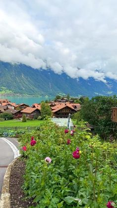 a scenic view of a village with mountains in the background and flowers on the foreground