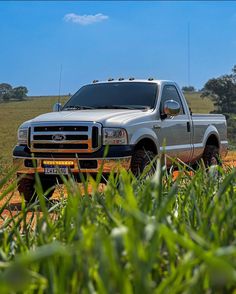 a silver truck parked on top of a dirt road next to green grass and trees