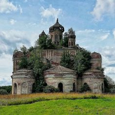 an old building with trees growing on it's roof and some grass in the foreground