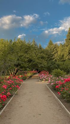 a pathway in the middle of a garden filled with lots of pink and red flowers