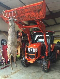 a deer standing next to a red tractor in a garage