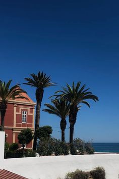 three palm trees in front of a red building and the ocean behind them with a blue sky