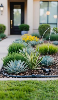 a garden with plants and water sprinkles in front of a house