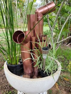 there are many pipes and plants in the planter