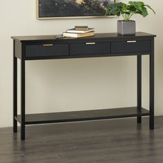 a black console table with two drawers and a potted plant