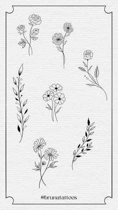 flowers and leaves drawn in black ink on white paper with the words braratos