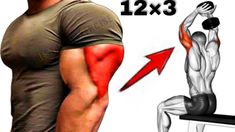 8 BEST TRICEPS EXERCISES for BIGGER ARMS _ TRICEPS WORKOUT - YouTube Dumbbell Tricep Workout At Home, Triceps Workout Dumbell, Big Arms Workout Men, Tricep Workout Men, Arms Workout For Men, Biceps And Triceps Workout, Best Tricep Exercises, Tricep Workouts