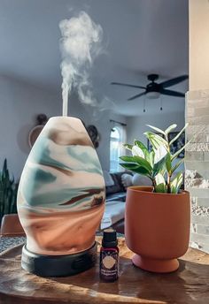 an air humider sitting on top of a table next to a potted plant