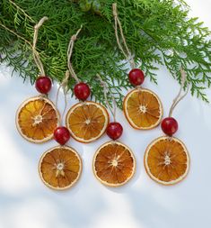 orange slices and cherries are arranged on a white surface next to evergreen branches with red berries