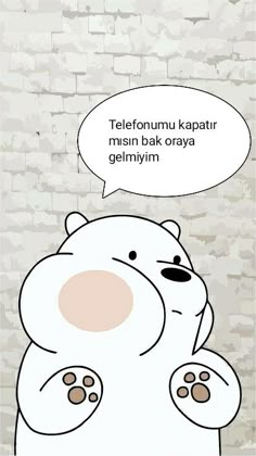 a cartoon bear with an empty speech bubble above it's head that says, telefonum kapat misen bak or okay gelmy