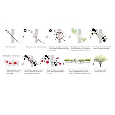 an illustrated diagram showing the various stages of growing trees