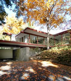 the house is surrounded by trees and leaves on the ground, with its large windows open