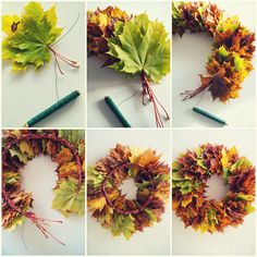 several pictures of different types of autumn leaves and crayon pencils on a table