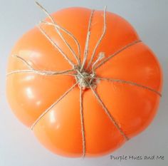 an orange pumpkin is tied up with twine