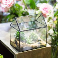 NCYP Vintage House Geometric Terrarium Tin Sealed Chest Planter Succulent Centerpiece Wedding - NCYPgarden Succulent Wedding Centerpieces, Cactus Terrarium, Small Terrarium, Bonsai Flower, Terrarium Containers, Succulent Centerpieces, Geometric Terrarium, Plant Box, Glass Cube