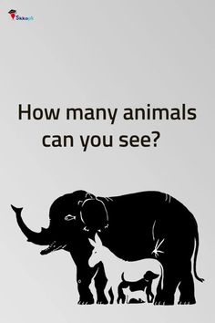 an elephant and its baby are shown with the words how many animals can you see?