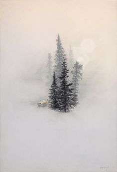 the trees are covered in thick fog and snow