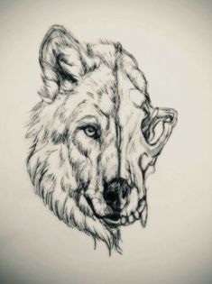 a drawing of a bear's head with its mouth open