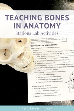 teaching bones in anatomy stations lab activities and printables for kids to practice their skills