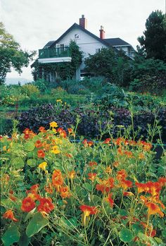 the house is surrounded by many colorful flowers