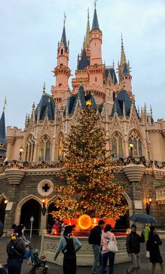 people are standing in front of a christmas tree at the entrance to sleeping beauty's castle