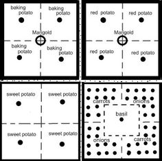 four diagrams showing the different positions for baking potatoes and sweet potato holes in each square