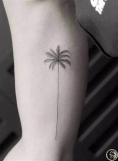 a small palm tree tattoo on the arm