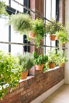 several potted plants hanging on the side of a brick wall next to a window