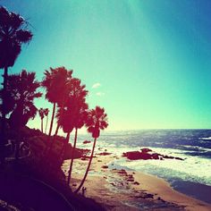 the sun shines on some palm trees by the ocean