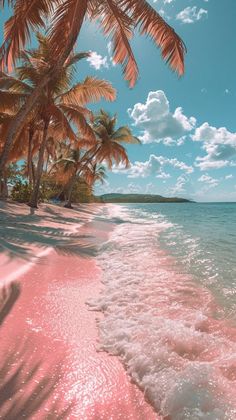 pink sand and palm trees on the shore of a tropical beach with clear blue water