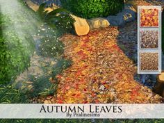 autumn leaves by prahensnsims