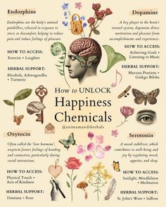 Happiness Chemicals, Ayurveda Life, Medical Herbs, Magic Herbs, Herbal Healing, Herbs For Health