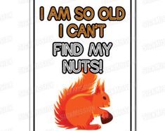 a sign that says i am so old i can't find my nuts